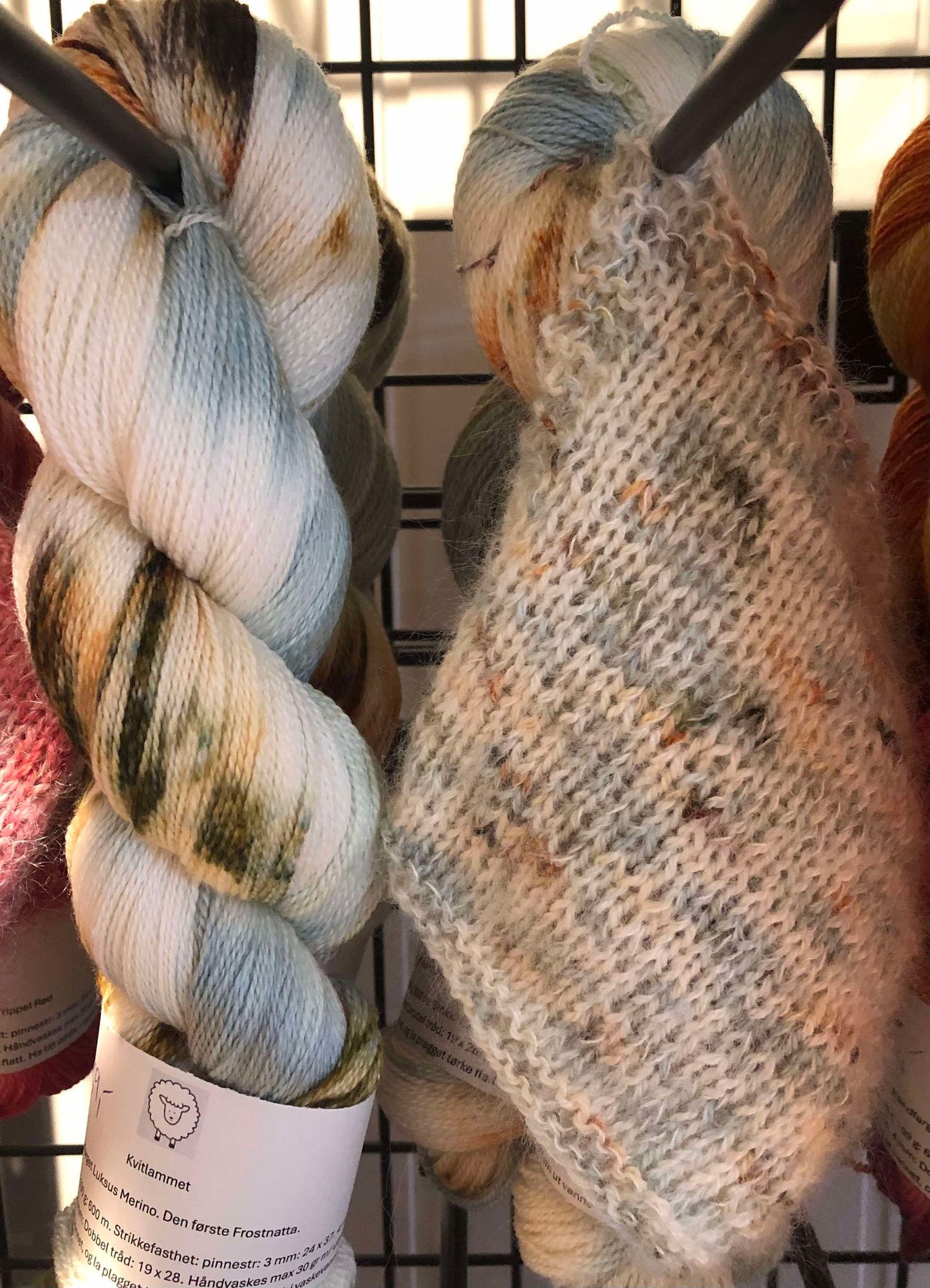 Kvitlammets Luksus merino. Den første Frostnatta.
