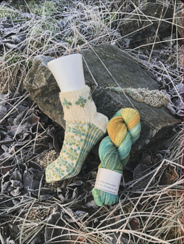 Kvitlammets Fjære fra Hillesvåg. Farge: Trollskog.