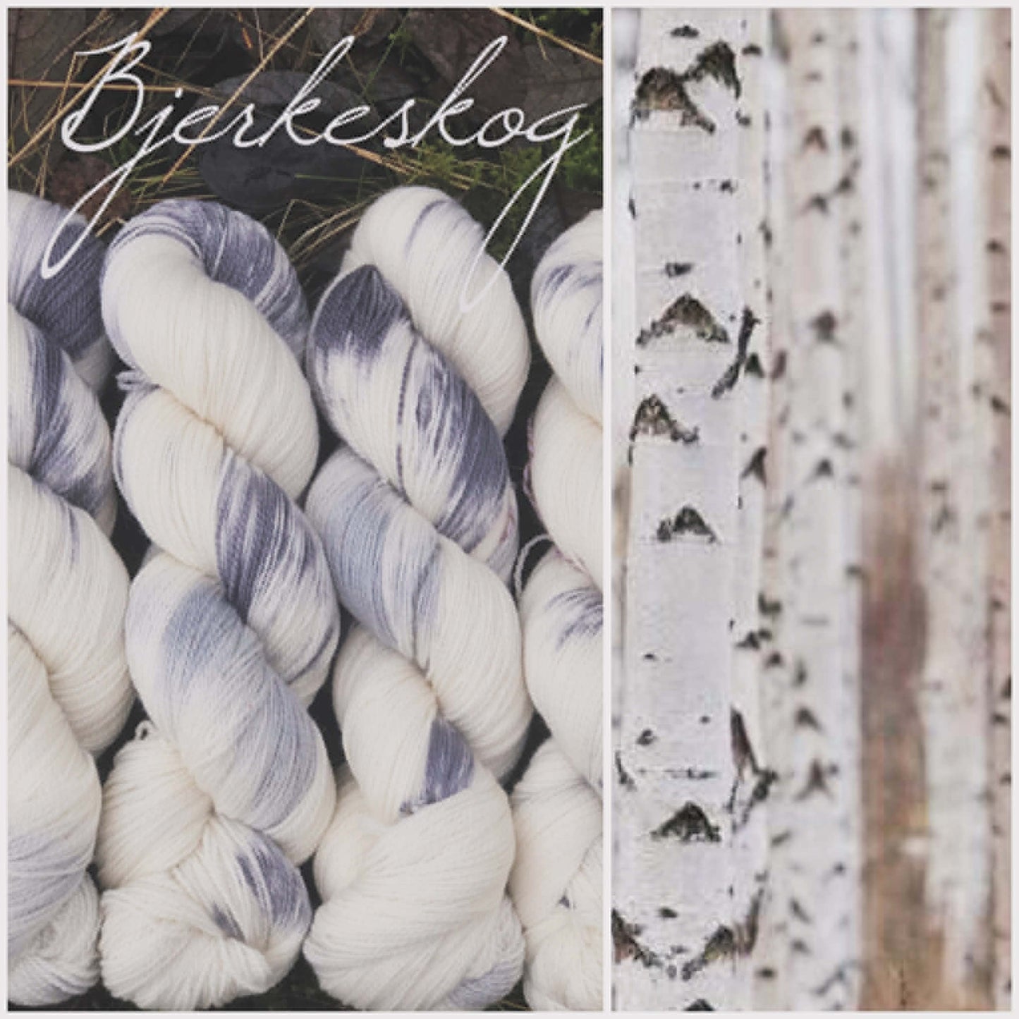 Kvitlammets Luksus merino. Bjerkeskog.