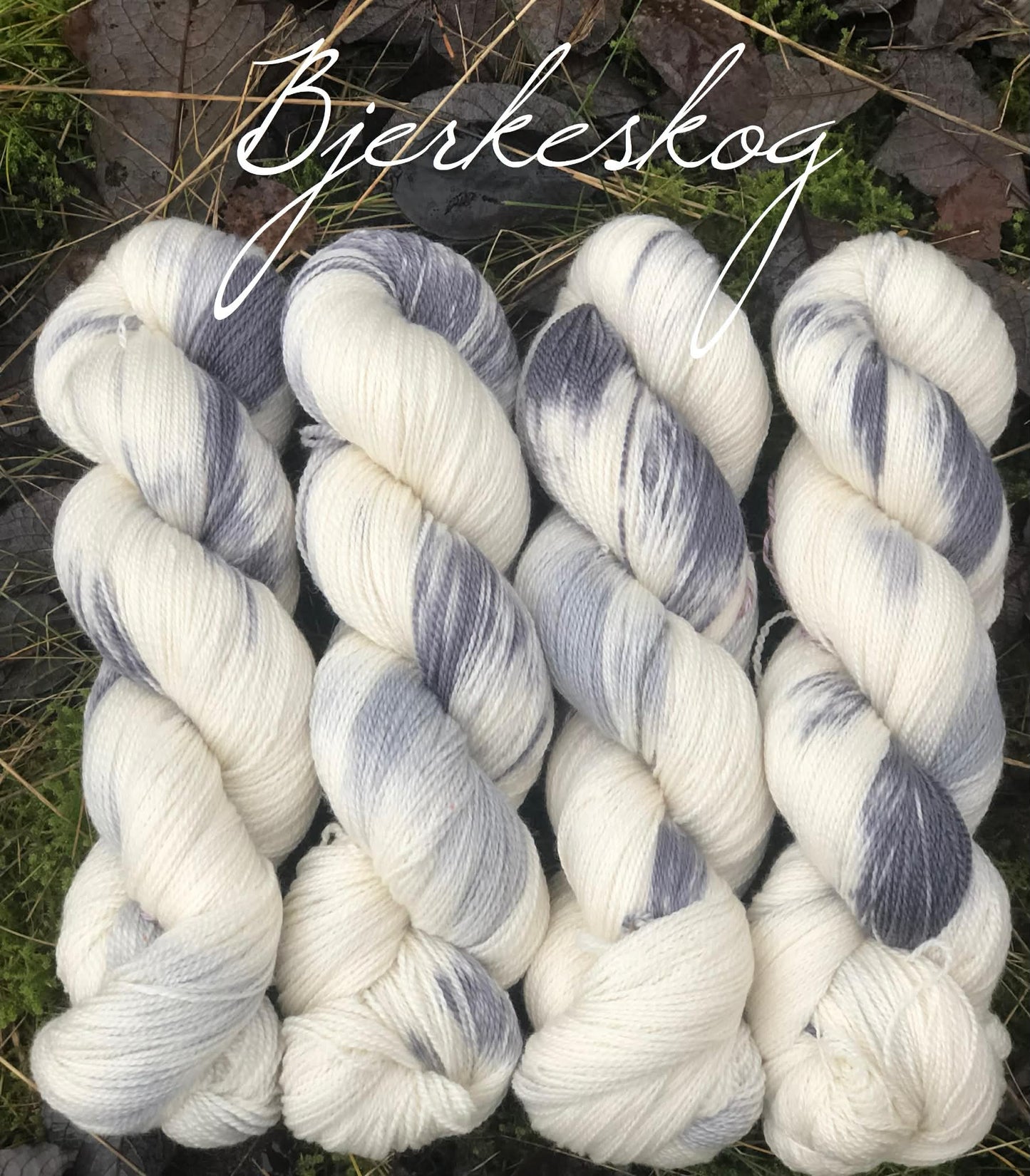 Kvitlammets Luksus merino. Bjerkeskog.