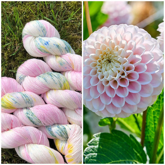 Eksklusivt Posh garn. Dahlia.