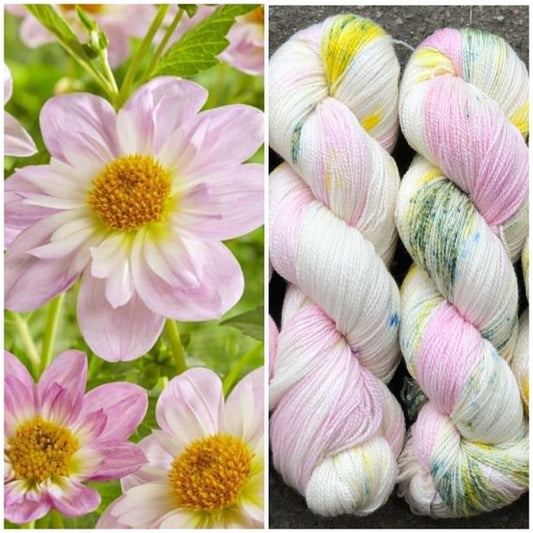Kvitlammets Luksus Merino – Dahlia