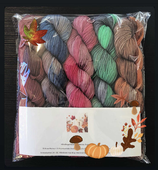 Garnpakke - 5-pakning sokkegarn m/oppskrift. ( nr 2 )